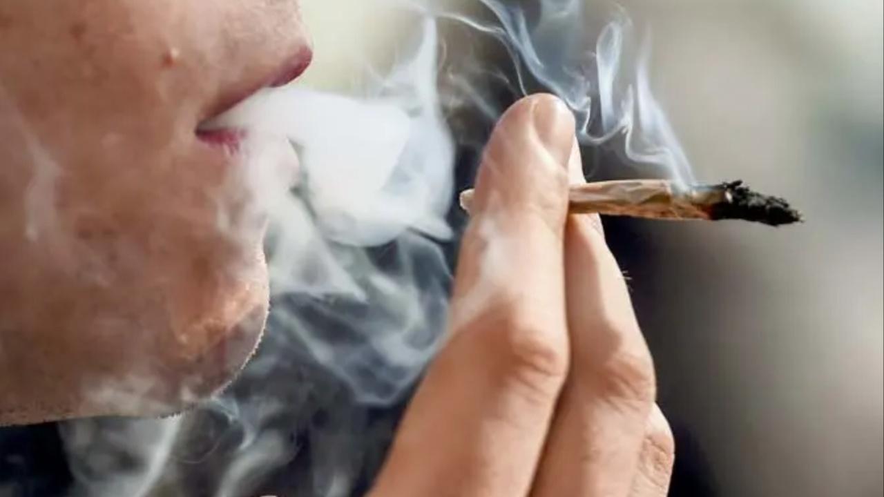 Using tobacco and cannabis may raise risk of depression, anxiety: Study