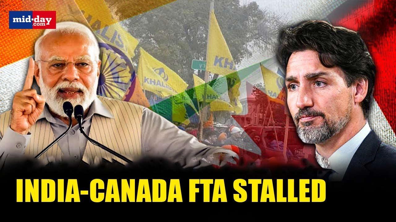  India-Canada FTA stalled after PM Modi, Justin Trudeau's talks