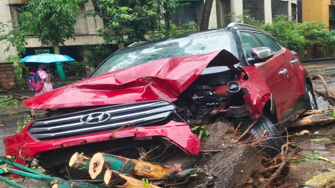 Maharashtra: Speeding driver flees after late-night crash in Vasai