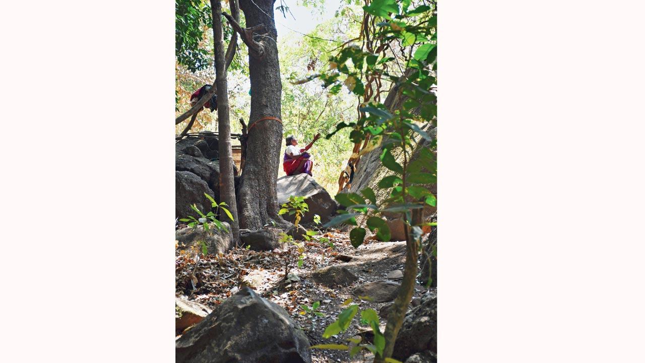 The fear that was once associated with devrais and their presiding deities is now fading, changing local communities’ sense of belonging to them