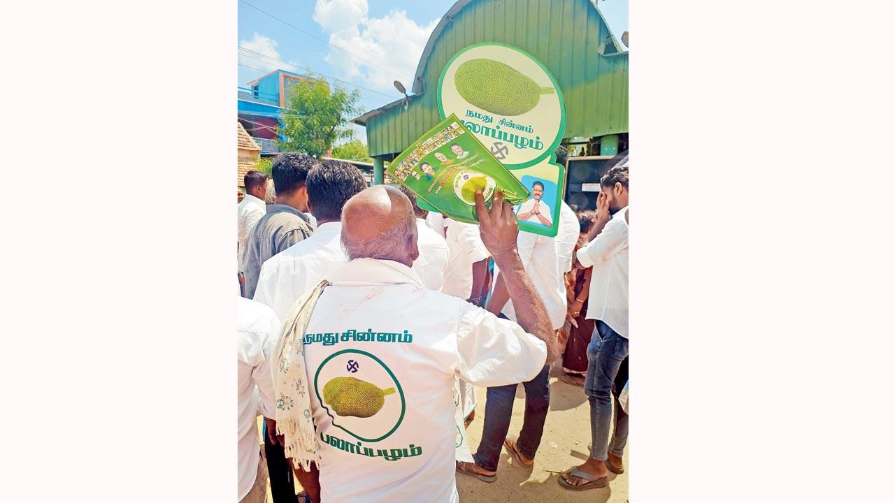 A supporter sports the jackfruit symbol, which has been allotted to ex-CM O Panneerselvam, at Keelathuval village, in Ramanathapuram. Pics/Krishnakumar Padmanabhan