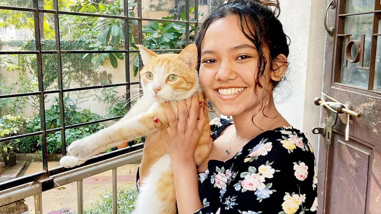 Amanda tong, 26 Cat behaviourist
AVAILABLE FOR: One-on-one sessions on cat behaviourPRICE: Free introductory 15-min consultation, follow-up price on requestCONTACT: +91 9833318262
Because animals can’t talk, we need to listen better,” says Amanda Tong. She is also trained to work with horses, birds and rabbits. 
RECOMMENDED BY: Ramya Balasubramanian “Amanda is not just knowledgeable when it comes to feline behaviour, but she also knows how to help and reassure a stressed pet parent. She has the right tips, detailed research papers and does regular check-ins via video call to make sure everything is perfect.”