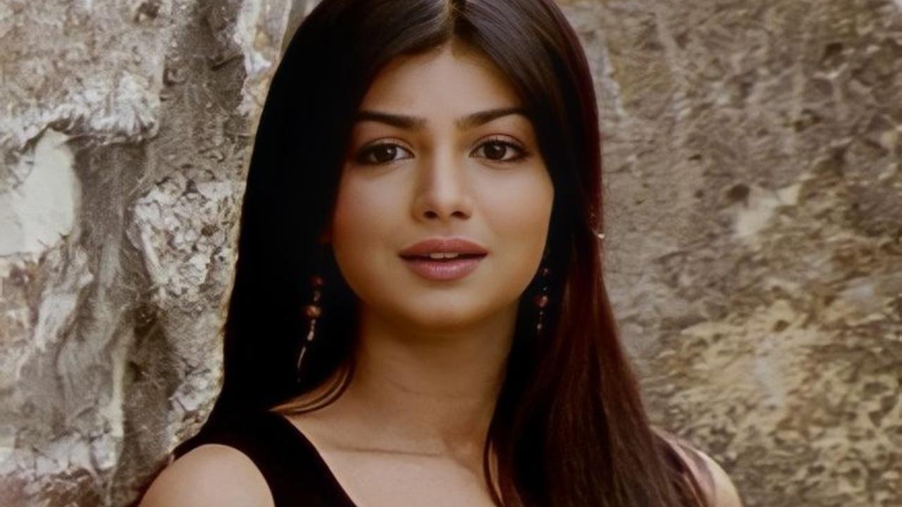 Ayesha Takia Birthday 2024: Reflecting on actress’ journey - From iconic debut to quiet retreat from limelight