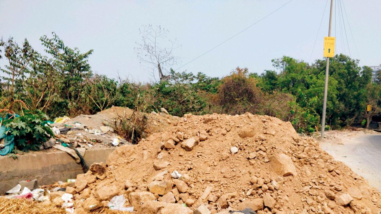 Mumbai: Illegal dumping resumes along JVLR near Aarey