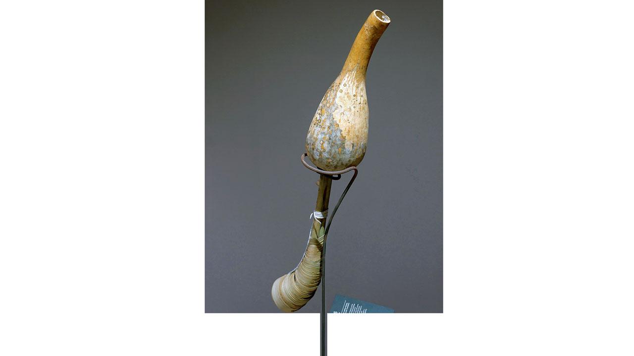 An electric meter; tarpa, a musical instrument and an exotic invasive bamboo species represent objects that explore how the community claims, and adds meaning to the forest space