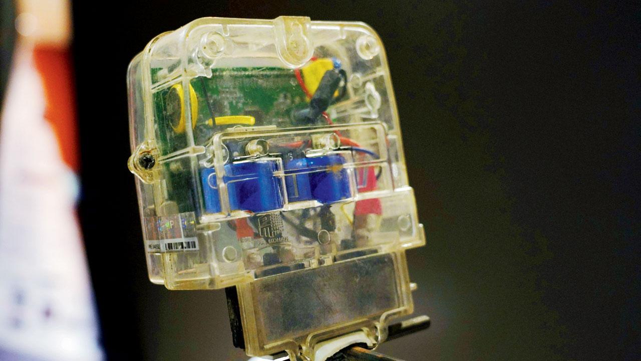 An electric meter; tarpa, a musical instrument and an exotic invasive bamboo species represent objects that explore how the community claims, and adds meaning to the forest space