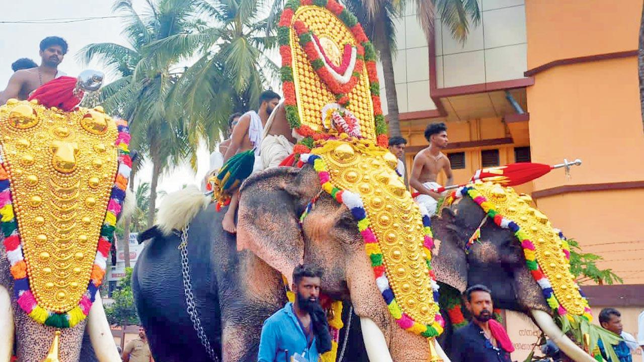 Bejeweled tuskers march during the Pooram festival
