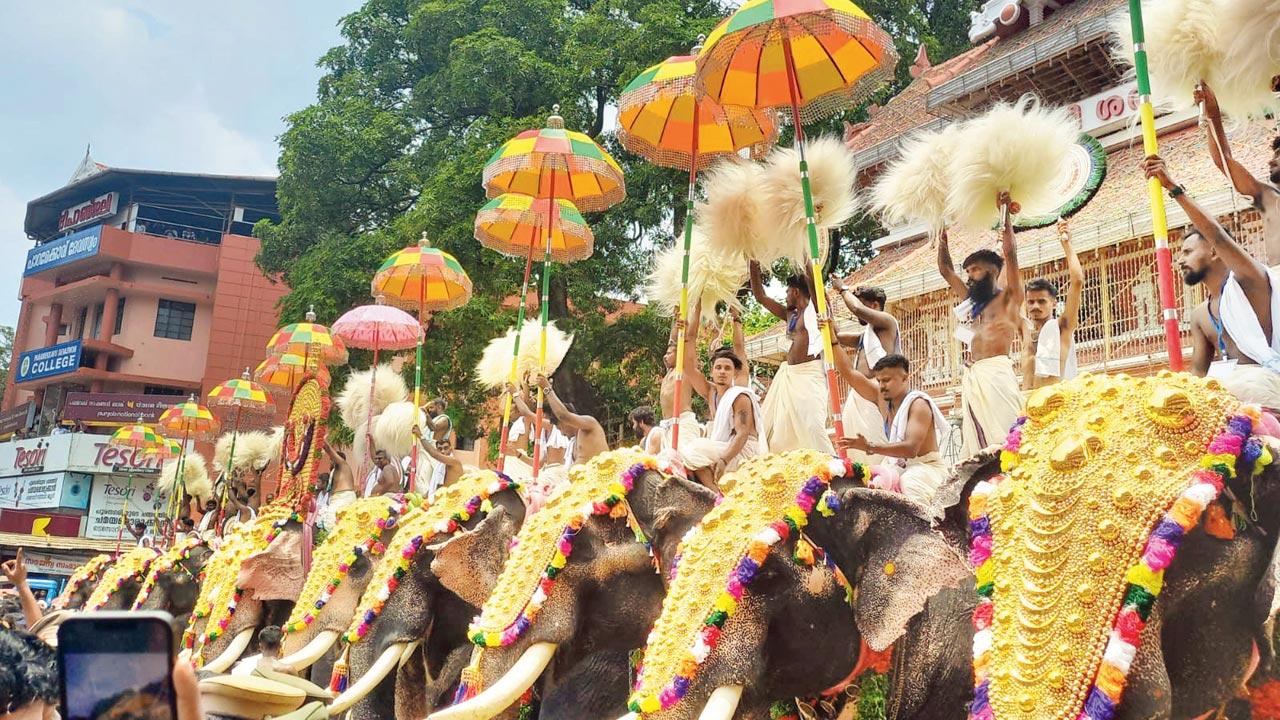 Tuskers and their mahouts at the Pooram festival of Thrissur