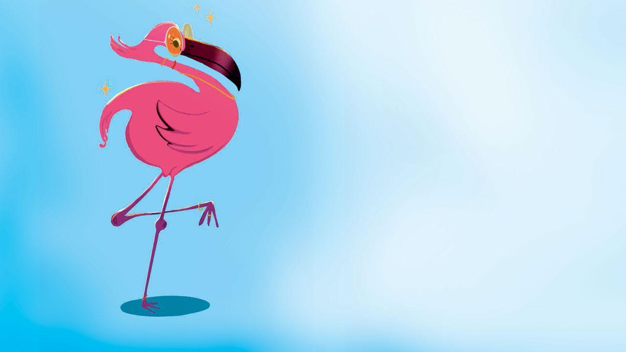 Have you met Miss Fuchsia?