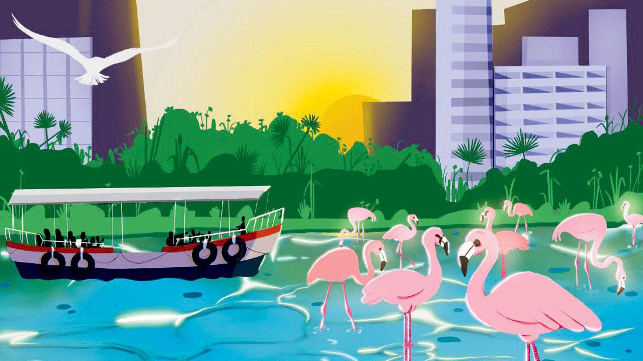 The story follows the flamingos’ journey to Mumbai and Navi Mumbai
