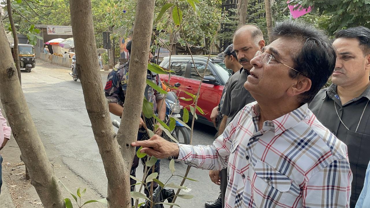Mumbai: BJP leader Kirit Somaiya visits Eastern Express Highway after 50 full-grown trees allegedly killed by advertisers and builders