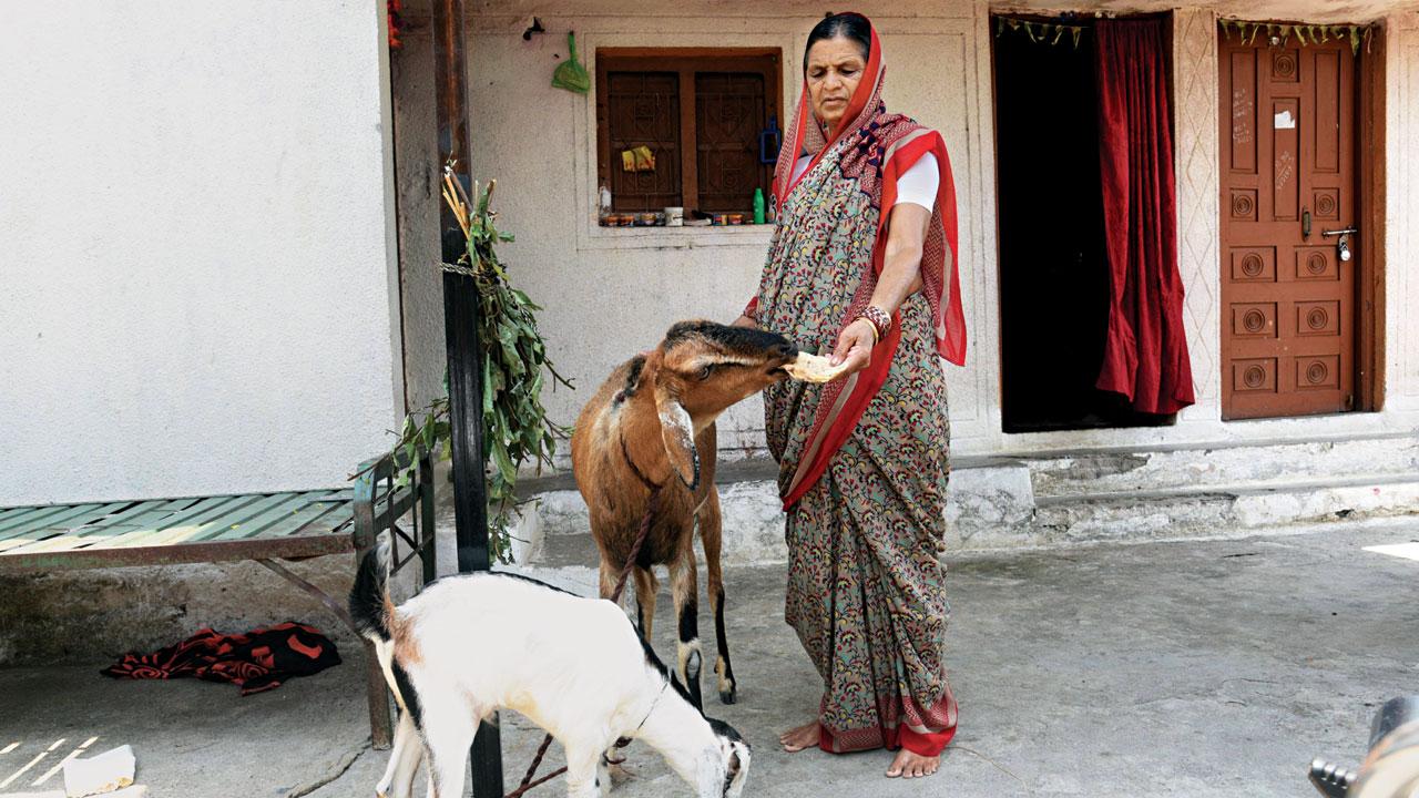 Kalavati Bandurkar at her Jalka residence in Yavatmal’s Maregaon taluka on Wednesday