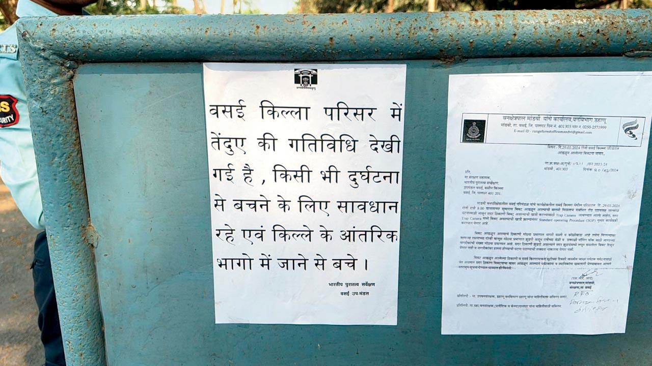A warning put up by officials in Vasai after the big cat was spotted near the fort. Pics/Hanif Patel
