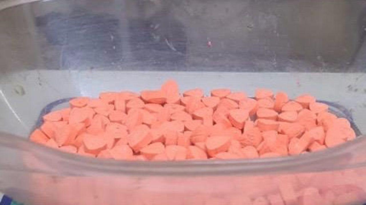 Mumbai: NCB busts international drug syndicate, seizes 2 kg of MDMA 