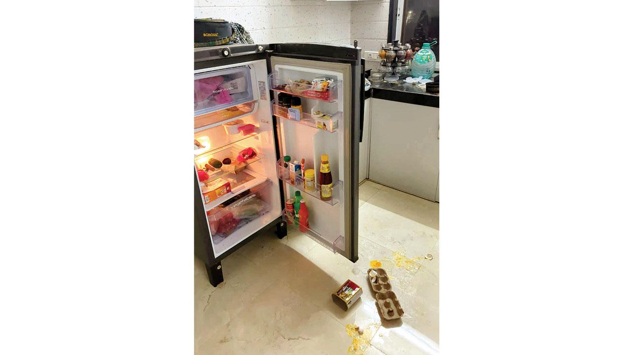 A refrigerator ransacked by monkeys