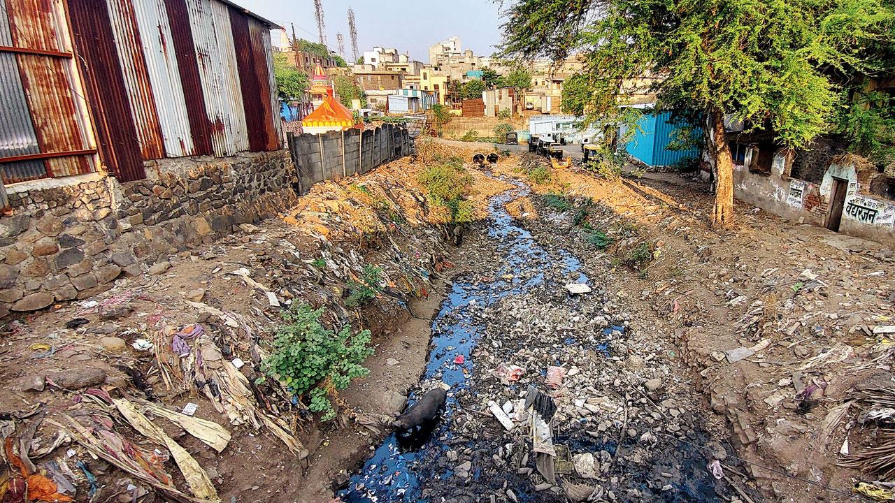 In Dharashiv, due to lack of proper planning, waste is clogging up nullahs
