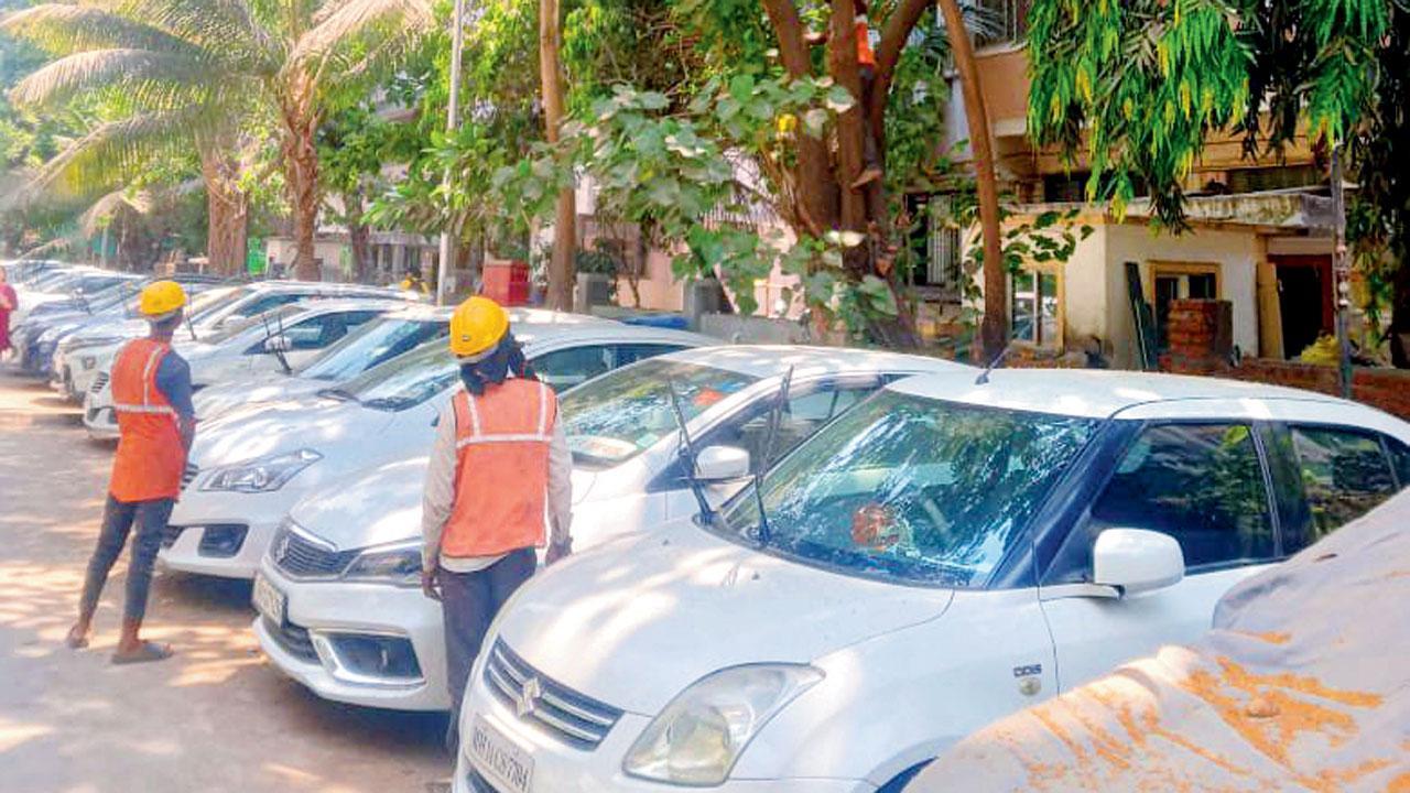 Mumbai: Parking woes stall tree trimming efforts ahead of monsoon