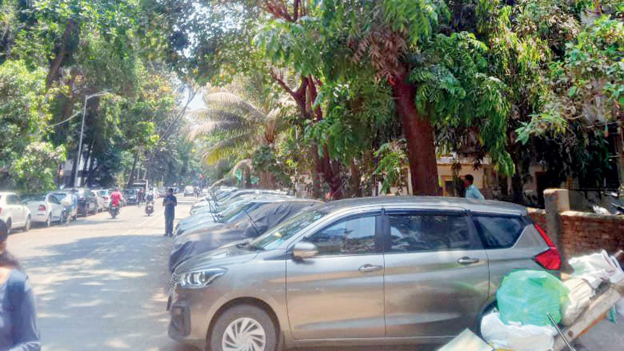 BMC has trimmed 15,821 trees to date