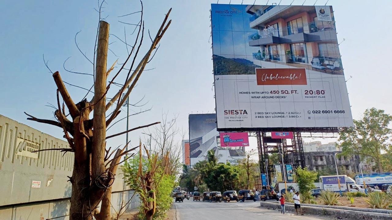 Mumbai: Police still unable to find tree-killers