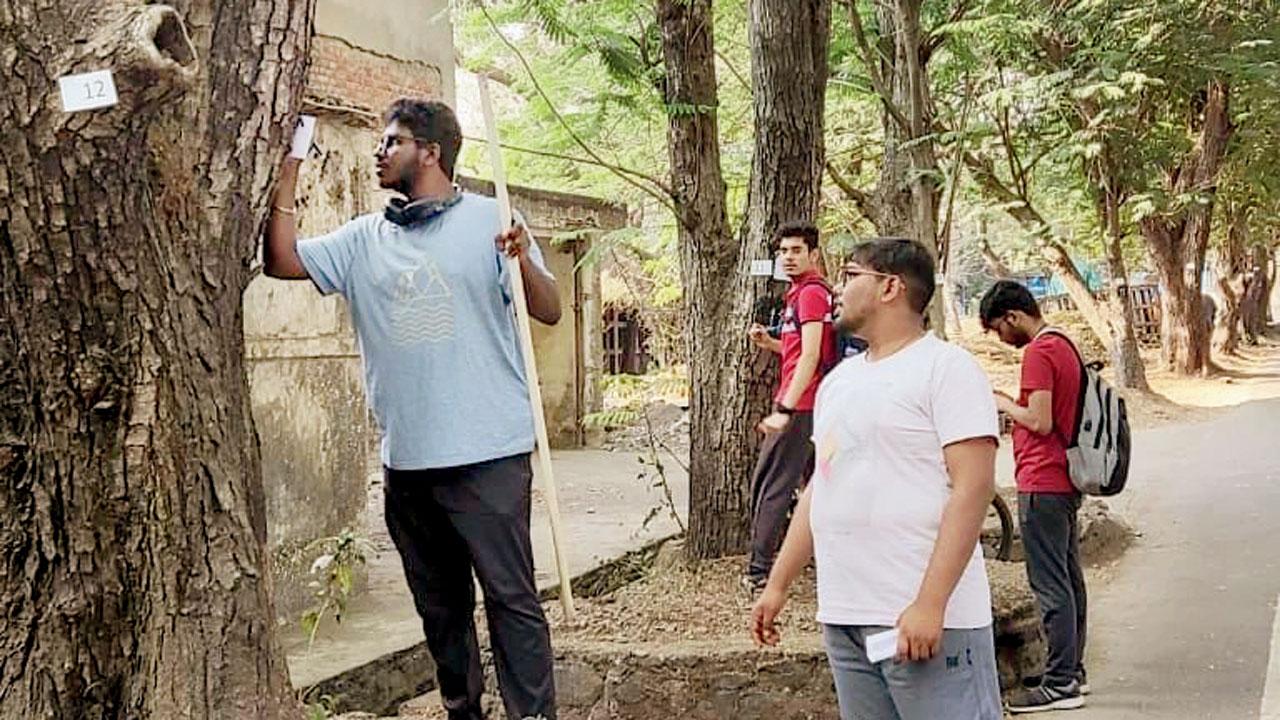 A volunteer marks trees at a previous initiative at IIT Bombay 