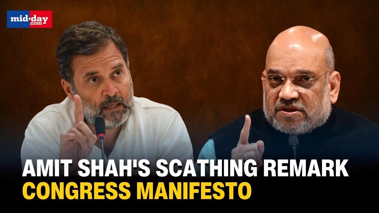 Lok Sabha Elections 2024: Amit Shah Criticises Congress Manifesto