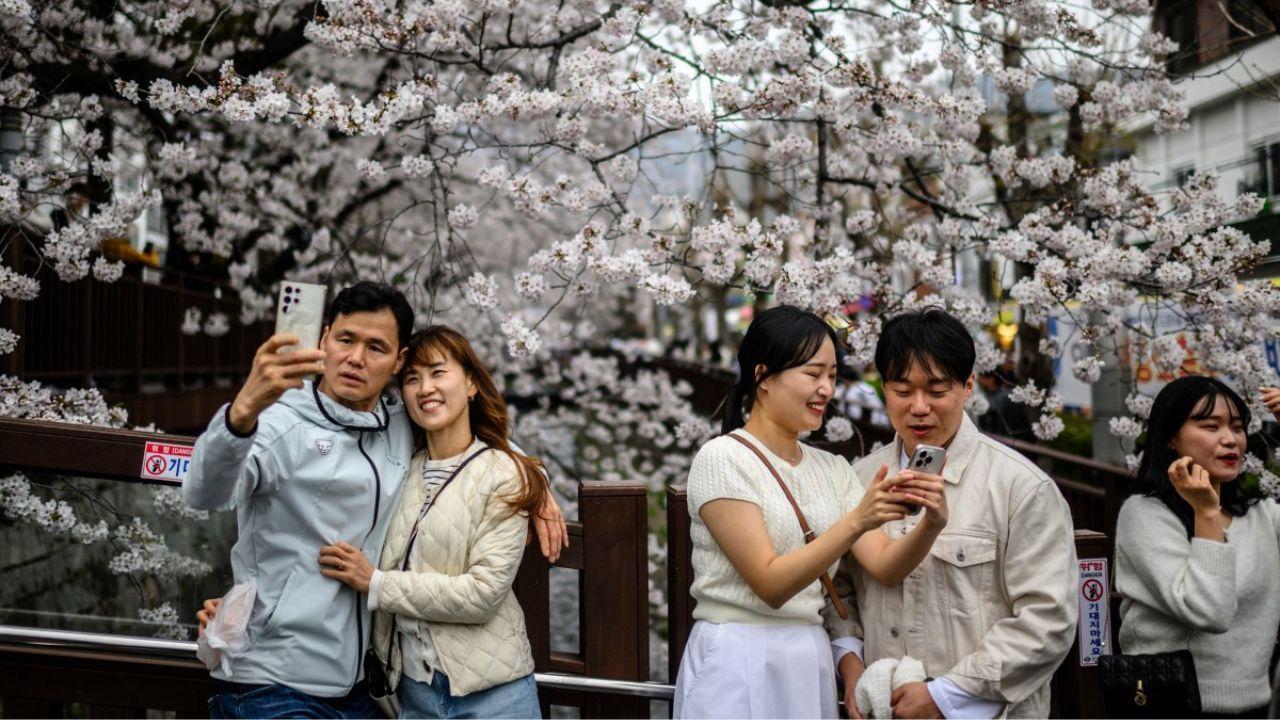 IN PHOTOS: People flock to Japan to celebrate the cherry blossom festival