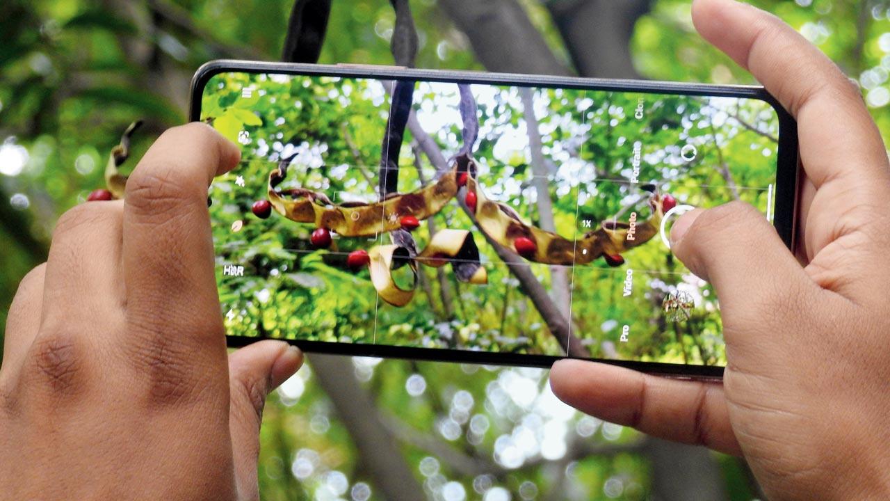 Participants can click pictures of various species of plants and animals and share them on free mobile apps like iNaturalist by April 29. Results will be announced on May 6