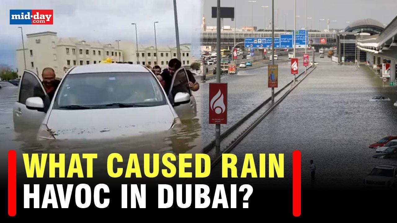 Dubai Rain: What caused the heavy rainfall and torrential storm in Dubai?