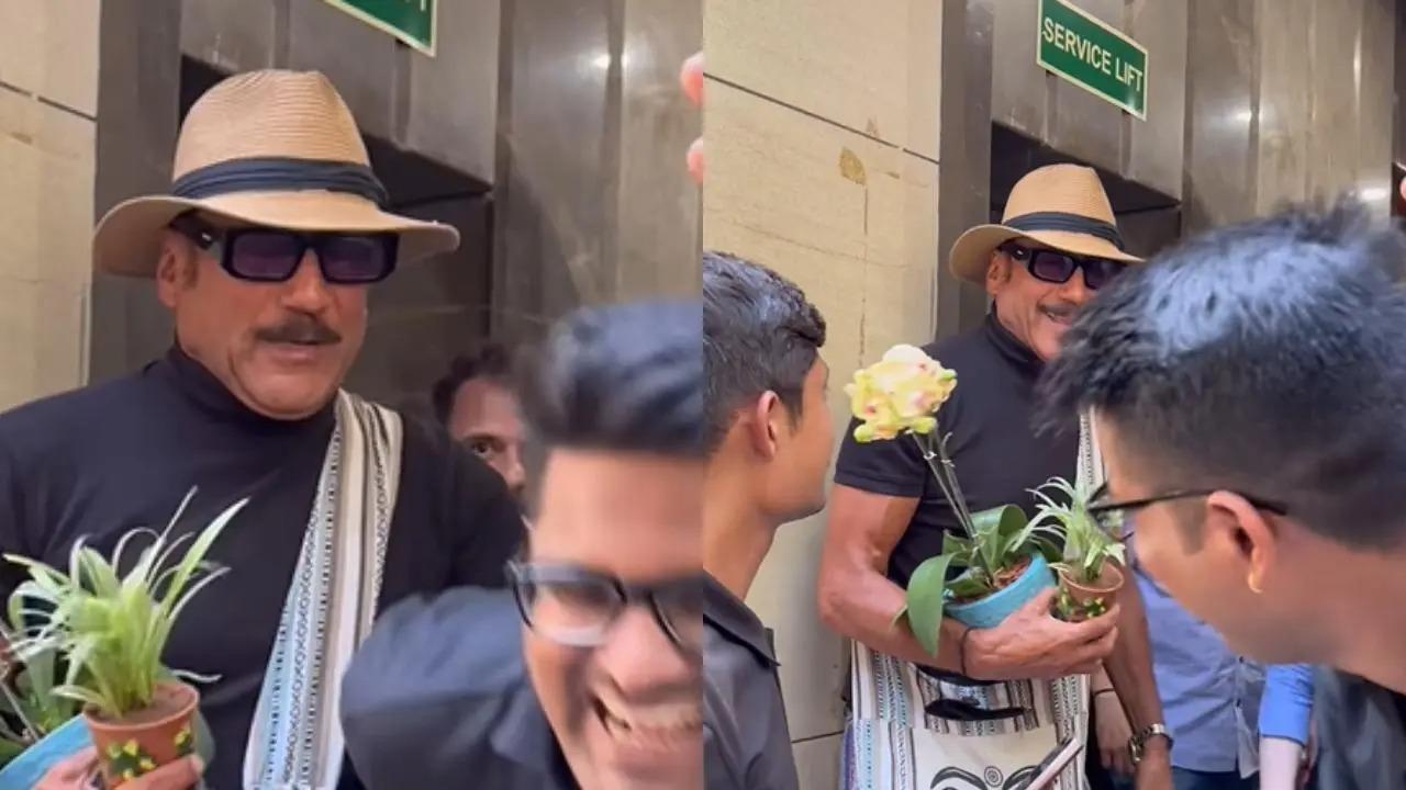 Today, a new fun video of Jaggu Dada has surfaced on social media, and it is making netizens go crazy. Read full story here