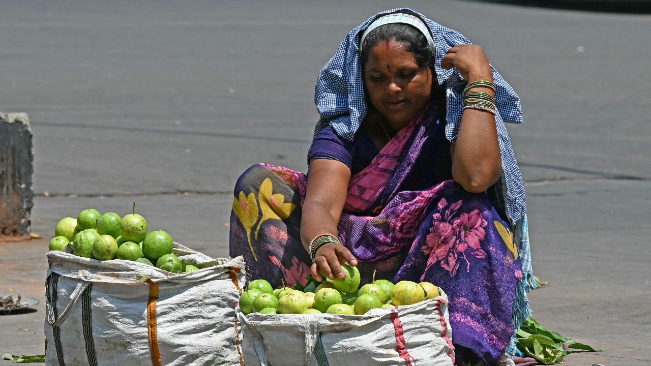 A fruit vendor covers her head with a cloth while waiting for customers along a roadside on a hot summer day (Photo by Noah SEELAM/AFP)