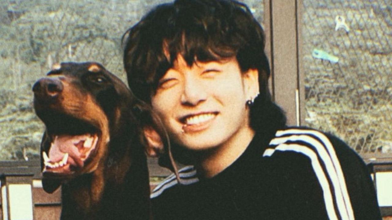BTS: A new account of Jungkook's dog surfaces, ARMYs gush over the duo