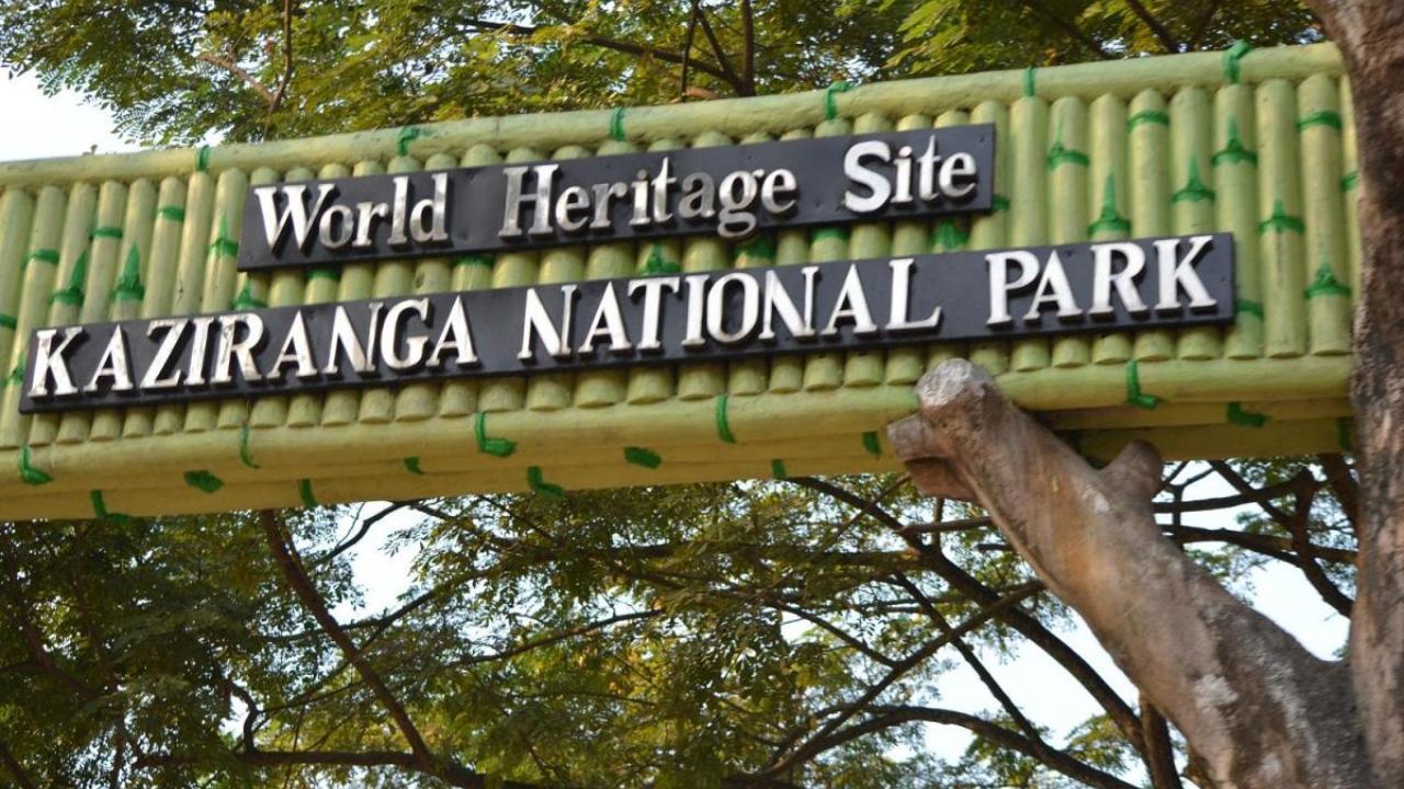 Record-breaking footfall at Kaziranga National Park, receives 3.27 L tourists