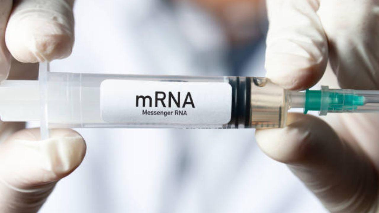 mRNA vaccine tech can be helpful in preventing deadly diseases: Report