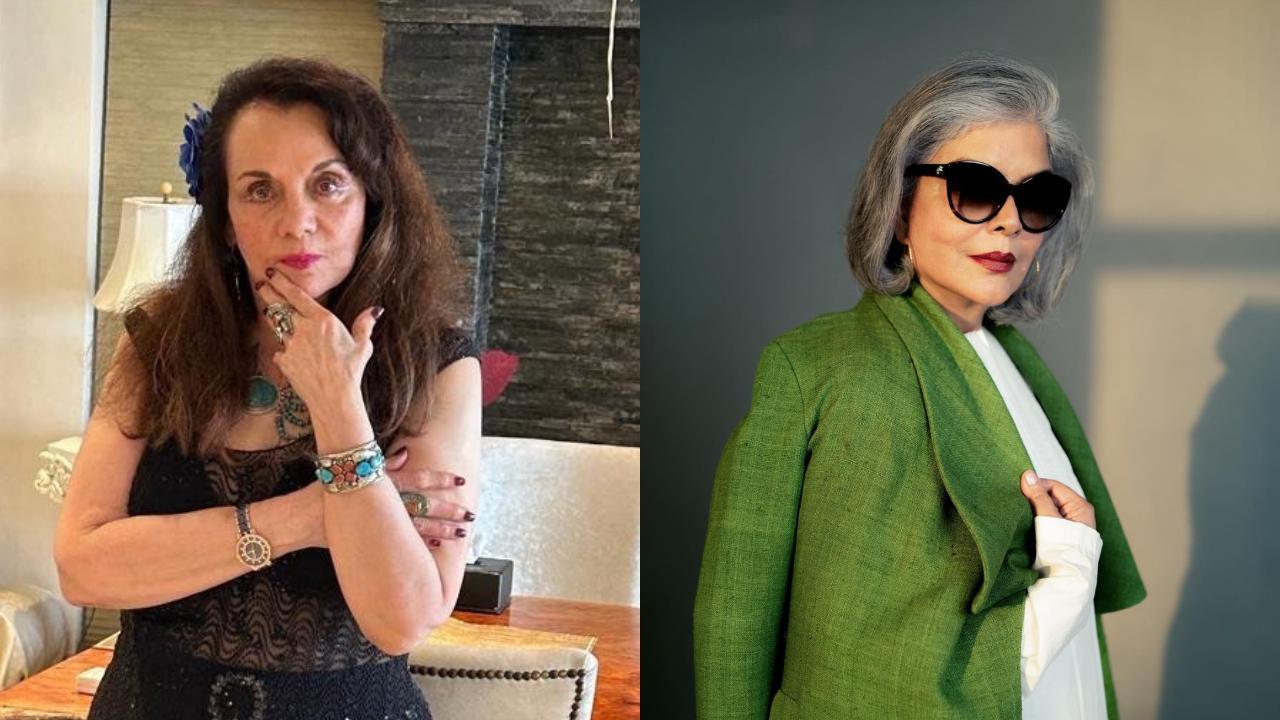 Mumtaz blasts 'cool aunty' Zeenat Aman for promoting live-in relationship: 'She should be the last person doling out advice'