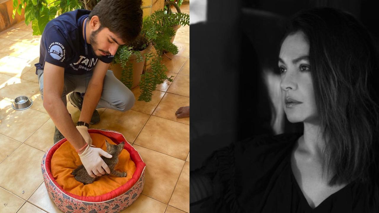 Pooja Bhatt rescues kitten from streets of Mumbai, netizens say, ‘Need more humans like you’