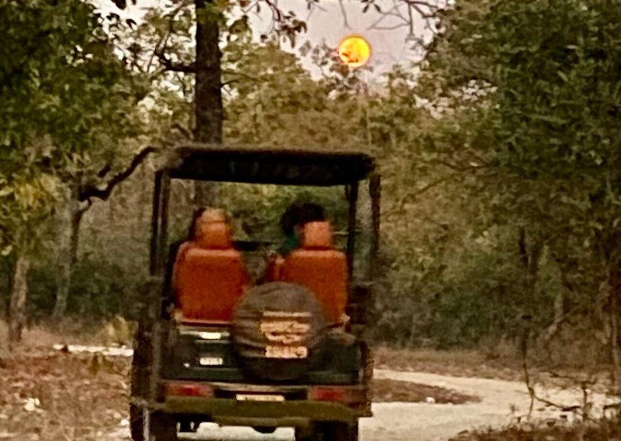 The actress also dropped a hazy picture of the safari jeep in the backdrop of a sunset