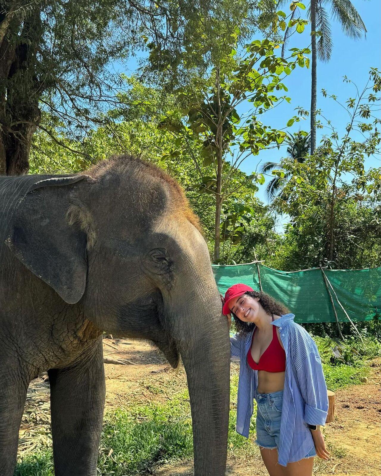 The ‘Dangal’ star also shared an adorable moment interacting with an elephant. 