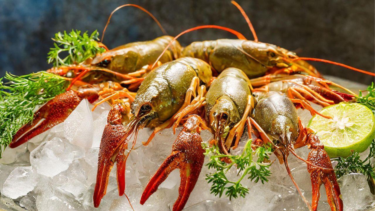 Eating seafood often can increase the risk of exposure to chemicals: Study