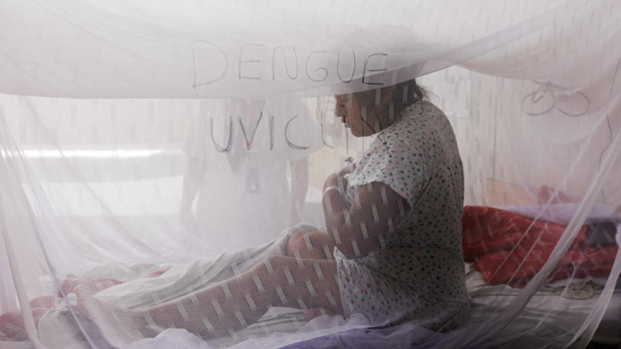 Josselyn Caqui, a pregnant dengue fever patient, talks to a nurse from under a mosquito net at the Sergio Bernales National Hospital in the outskirts of Lima on April 17, 2024. Peru recorded 147 deaths from dengue fever and more than 155,000 reported cases as of April 17, according to the Ministry of Health. These figures far exceed the 39 deaths and 34,000 cases recorded in the same period in 2023 (Photo by Juan Carlos CISNEROS/AFP)