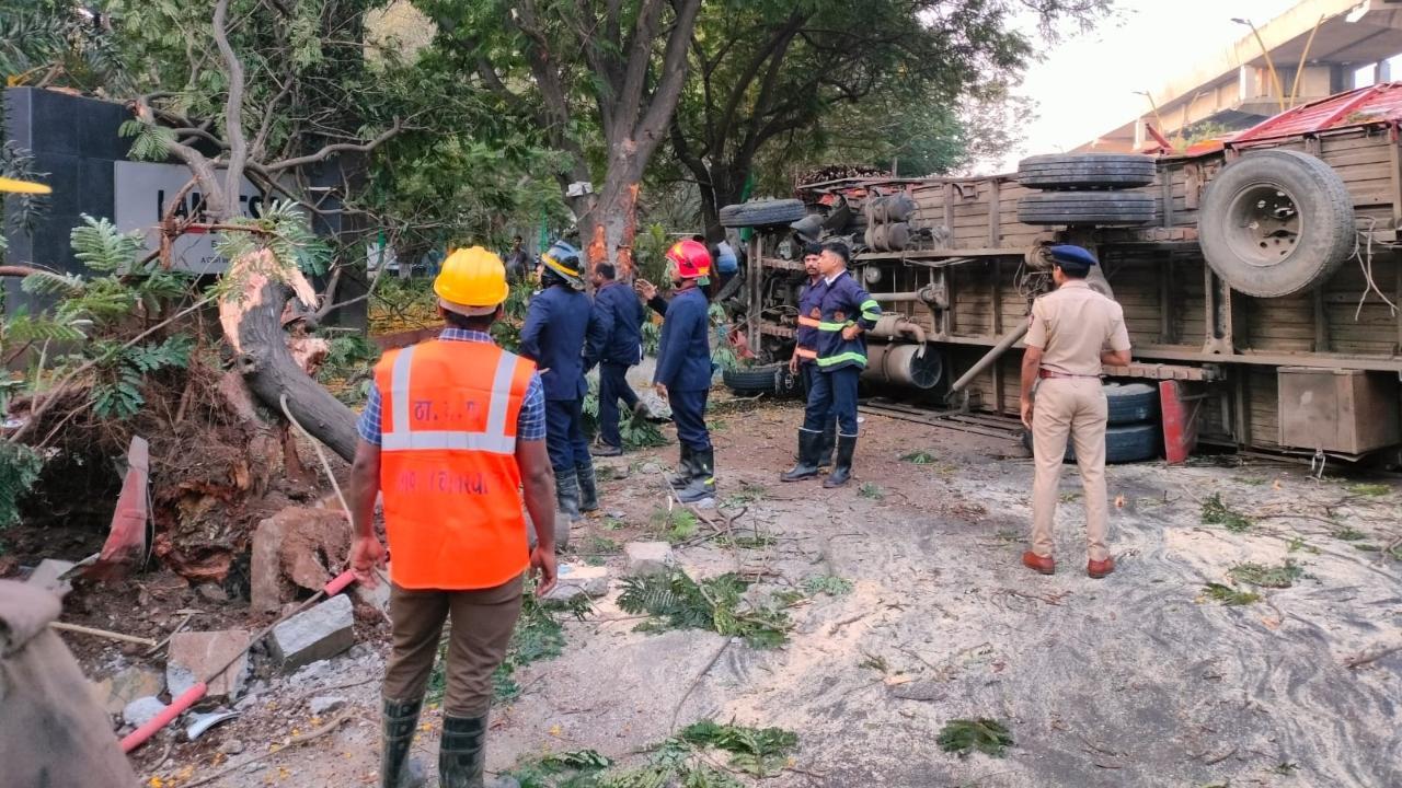 IN PHOTOS: Medicine-laden truck overturns after hitting tree in Thane