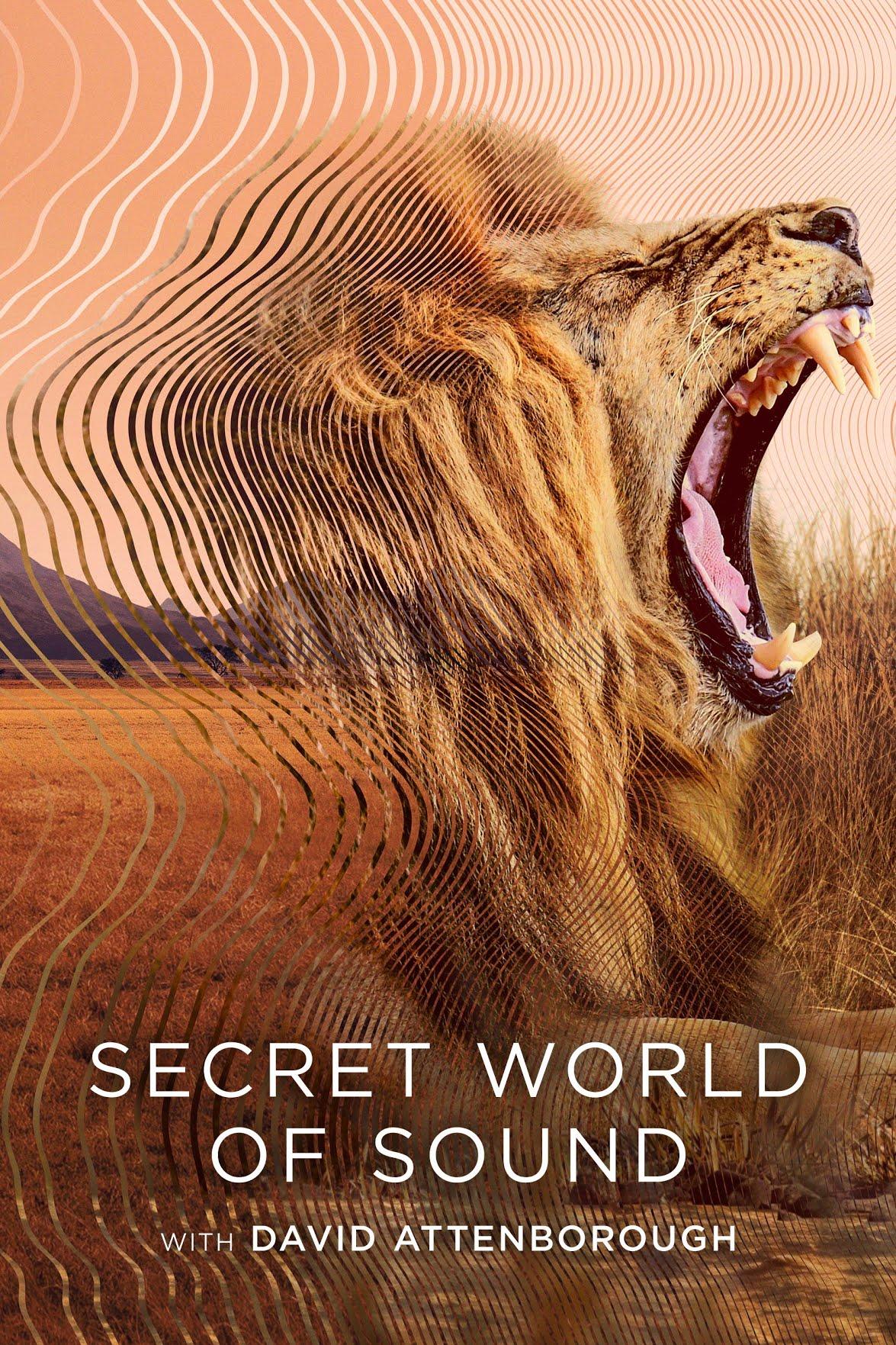 Secret World of Sound with David Attenborough (August 7) - NetflixDavid Attenborough explores how animals use sound in this three-part series. From caimans communicating in their eggs to the eerie hums of certain fish, the show uses advanced tech to capture sounds we usually can’t hear, offering a new look at the animal kingdom.