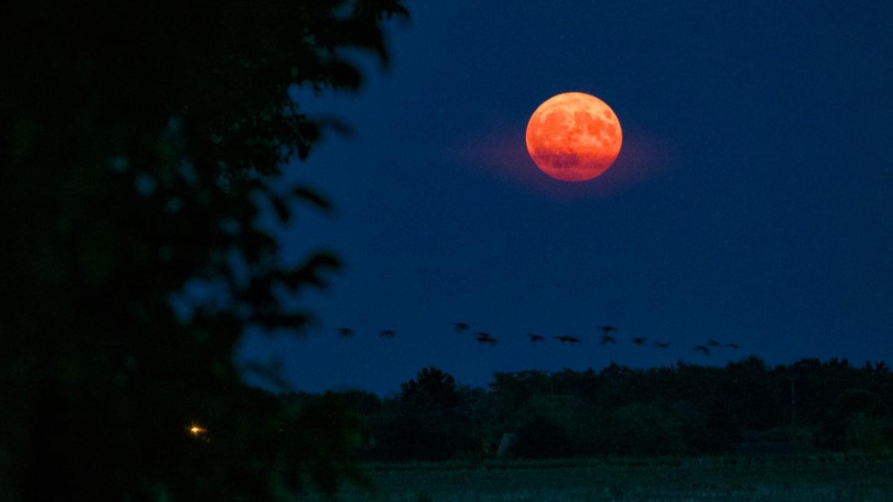 The Super Blue Moon rising in Montargis, central France, on August 19, 2024