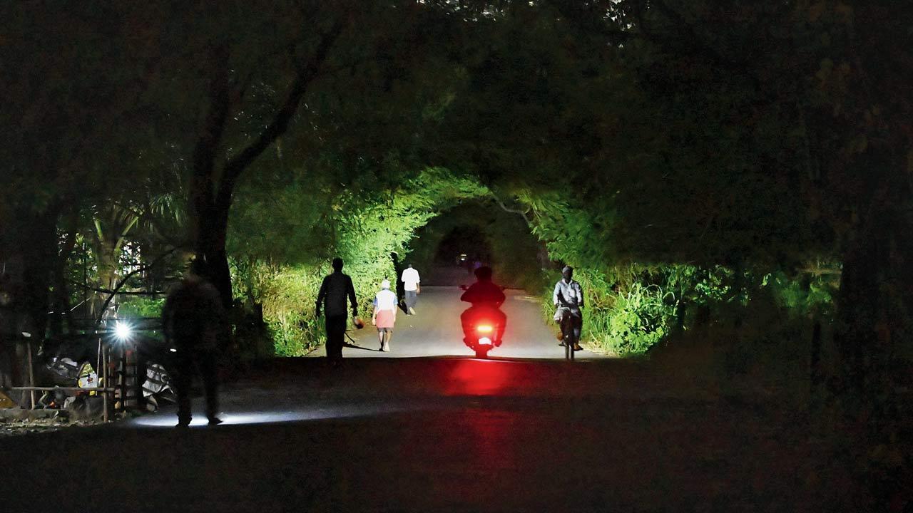Mumbai: Lack of internal lights puts Aarey women at risk; watch video