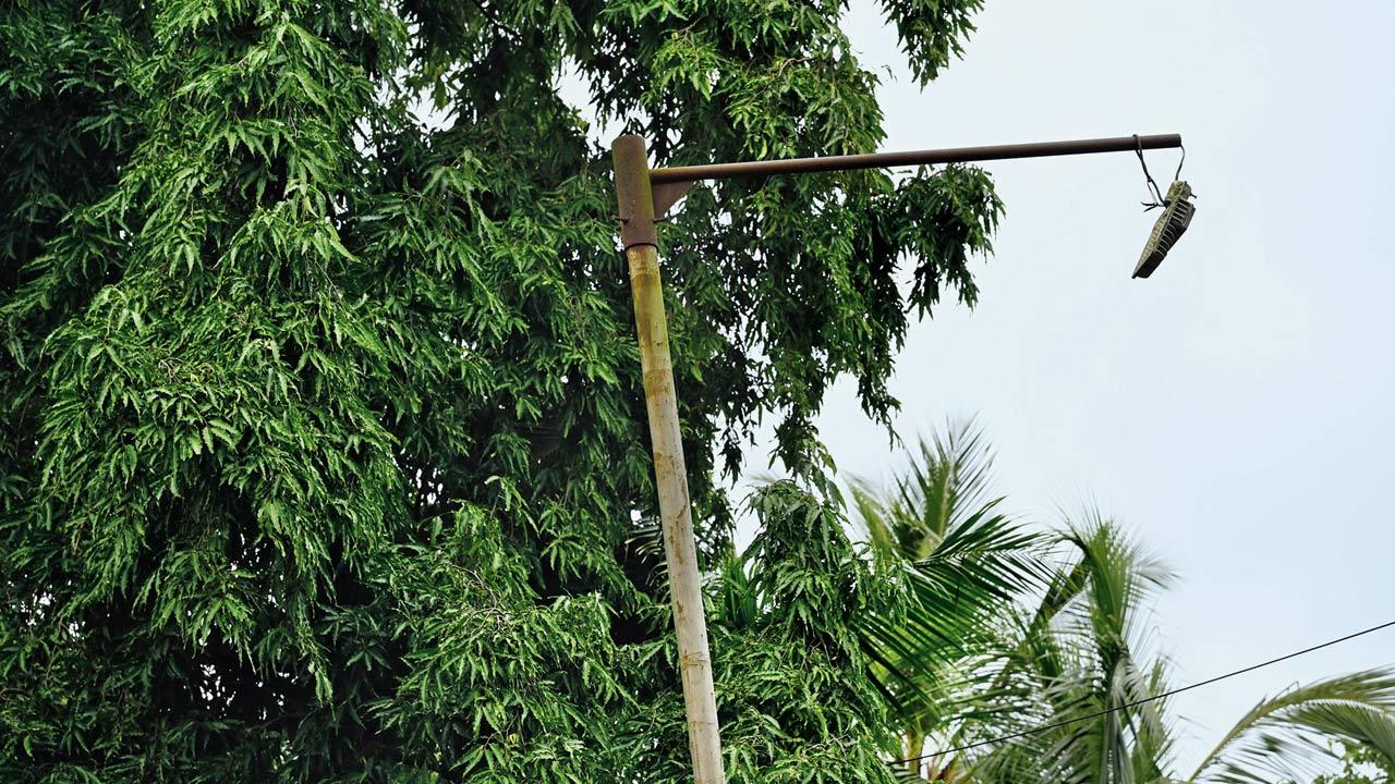 Broken street lamp on the interior road of Aarey Milk Colony