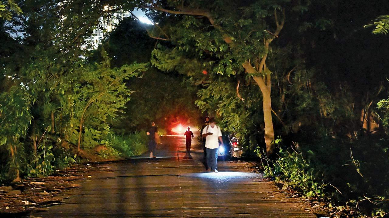 Locals say the non-illuminated streets also increase risk of human-animal accidents