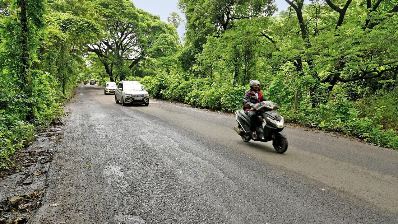Mumbai: BMC’s Aarey road switch risks wildlife underpasses