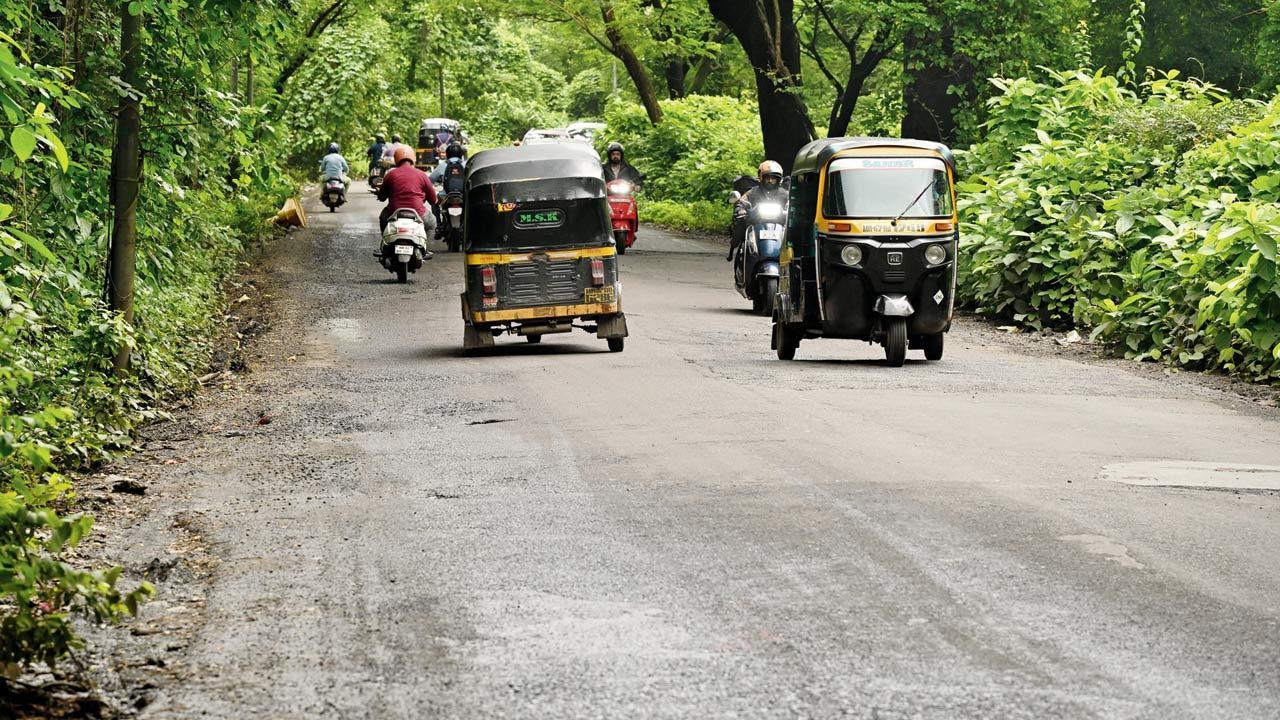 Mumbai: Conservationists threaten to take legal action over Aarey road switch decision