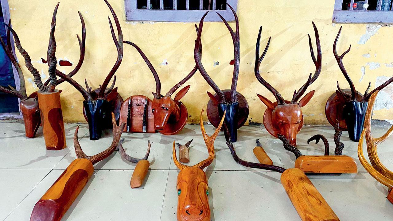 Forest department seizes 17 antler trophies near Mumbai