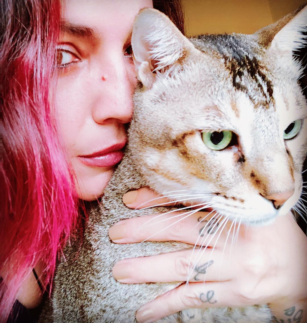 Pooja Bhatt, who gained headlines for her time in Bigg Boss OTT 2, is a parent of a cute cat. Pooja's love for her cats shines through in every post she makes