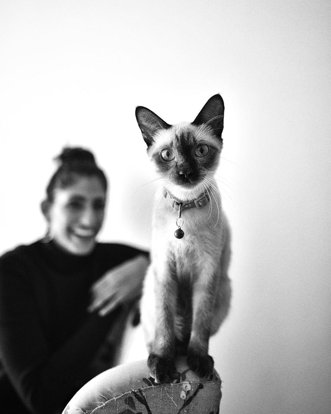Kubbra Sait has a little kitten. During an exclusive interaction with midday.com, Kubbra shared that she healed herself for her cat as he was taking her illness on himself